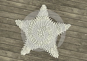 Sea animal starfish on wood planks 3d illustration