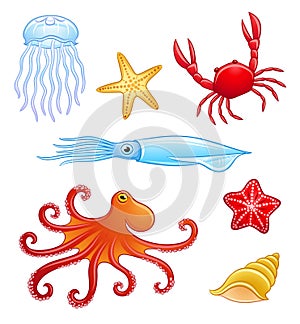 Sea animals