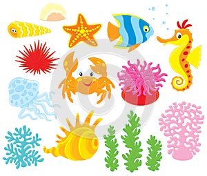 Sea animals