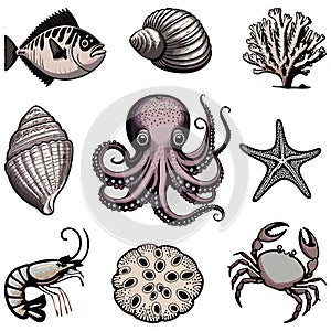 Sea animals collection of illustrations.