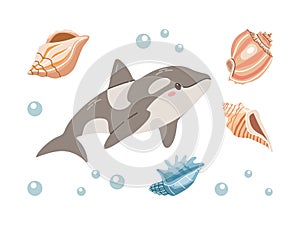 Sea animals. Hand-drawn sea killer whale and shells. Vector doodle cartoon set of marine life objects. Flat illustration on white