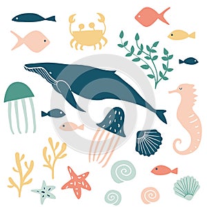 Sea animals illustration