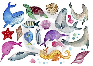 Sea animals isolated collection.