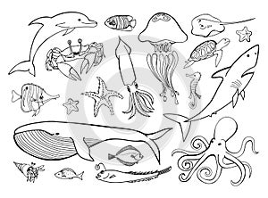 Sea animals line icons hand drawn set