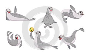 Sea animals. Polar Seal in action poses Antarctic wild animal exact vector cartoon set