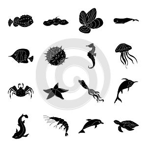 Sea animals set icons in black style. Big collection of sea animals vector symbol stock illustration