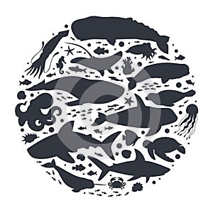 Sea animals silhouettes. Cartoon ocean life fauna, orca, dolphin, underwater aquatic creatures, whale, narwhal and seal vector