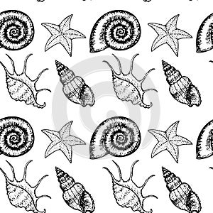 Sea Animals Sketched Seamless Pattern. Marine Life Creatures Hand drawn surface pattern design.
