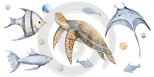 Sea Animals with turtle and Fishes. Hand drawn set of watercolor illustrations with manta Ray and tortoise on isolated