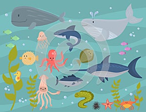 Sea animals vector creatures characters cartoon ocean wildlife marine underwater aquarium life water graphic aquatic