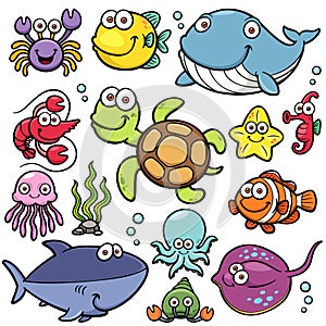 Sea Animals photo