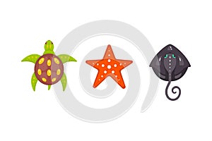 Sea animals vector set in cartoon hand drawn style. Marine life and underwater creatures contains turtle, seastar