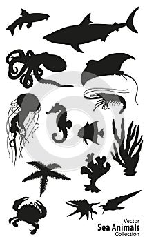 Sea animals vector silhouettes collection