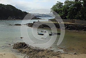 Sea armlet during the low-tide photo