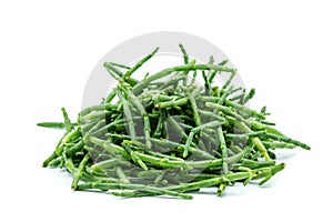 Sea asparagus isolated on white background