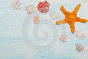 Sea background with blue wood, rope, starfish, shells