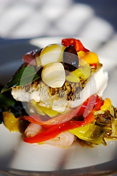 Sea Bass