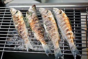 Sea bass barbeque