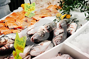 Sea bass on crushed ice at fish market