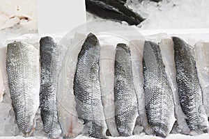 Sea bass fillets