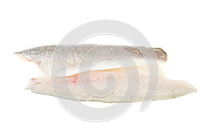 Sea bass fish fillets