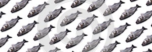 Sea bass fish panoramic pattern