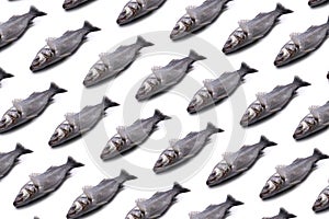Sea bass fish pattern