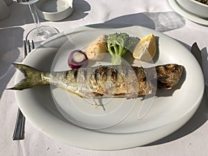 Sea bass, lemon, onion, broccoli and potato on a single plate