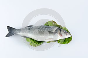 Sea bass on lettuce leaves on white background.