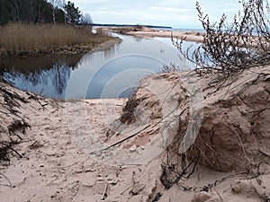 Sea bay, sand. Dune. Shrubbery, coastal reeds.