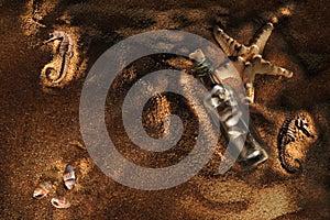 Sea-beach background