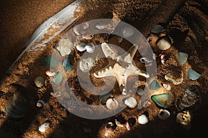 Sea-beach background