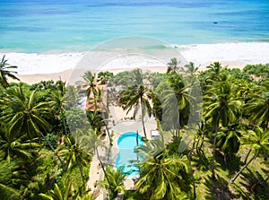 Sea beach, coconut palm trees and hotel pool, Sri Lanka. Aerial view of scenic resort