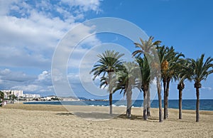 Sea, beach and coconut palms