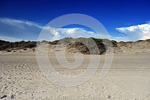 sea Beach Dunes