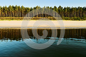 Sea, beach and evergreen coniferous Scots pine tree forest.