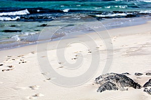 Sea, beach with footsteps and a rock