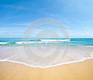 Sea beach landscape natural background