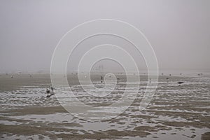 Sea beach in the morning mist