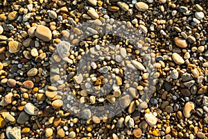 Sea beach pebble stones texture. Nature.