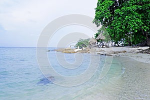 Sea beach with rock sand by the ocean and garden green tree by the sea shore