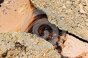 The sea beach and the rocks are polluted with oil