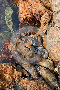 The sea beach and the rocks are polluted with oil
