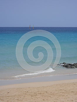 Canarie fuerteventura photo