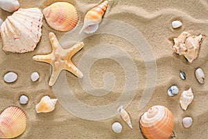 Sea beach sand and seashells background, natural seashore stones and starfish