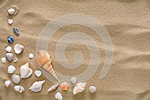 Sea beach sand and seashells background, natural seashore stones and starfish