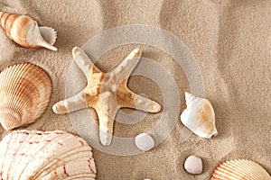 Sea beach sand and seashells background, natural seashore stones and starfish