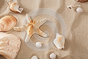 Sea beach sand and seashells background, natural seashore stones and starfish