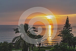 Sea beach with sunset in the background. In the foreground palm trees, cypress and greenery.