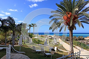 Sea and beach view from the hotel area on Cyprus photo